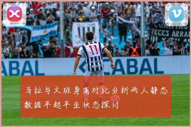 马拉与文班身高对比分析两人静态数据平起平坐状态探讨